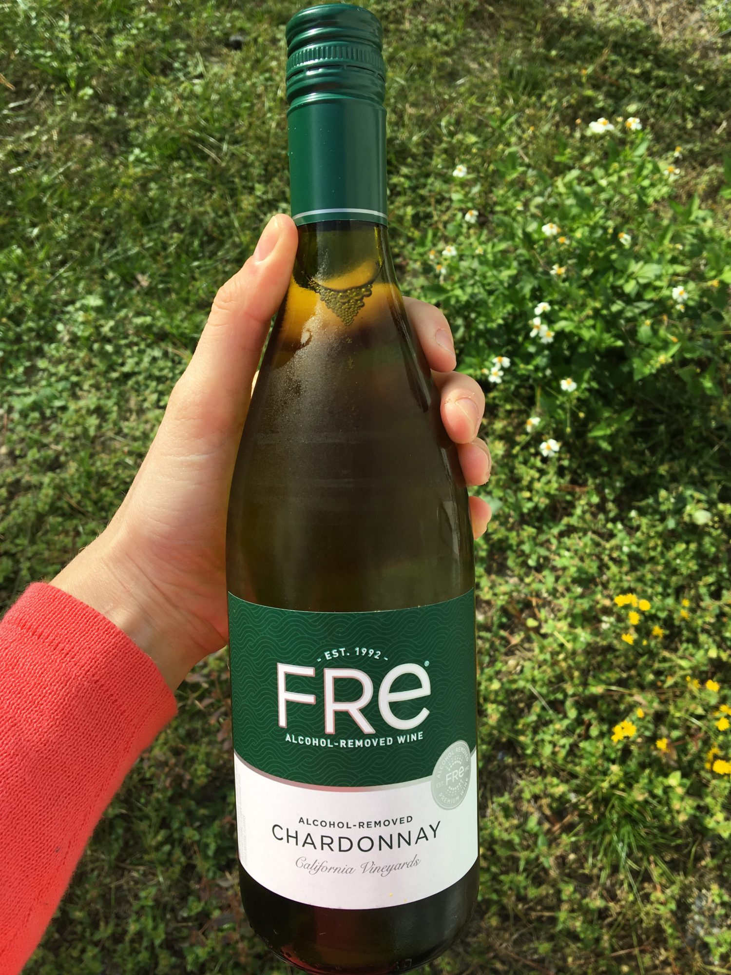 What Wine Doesn'T Taste Like Alcohol?