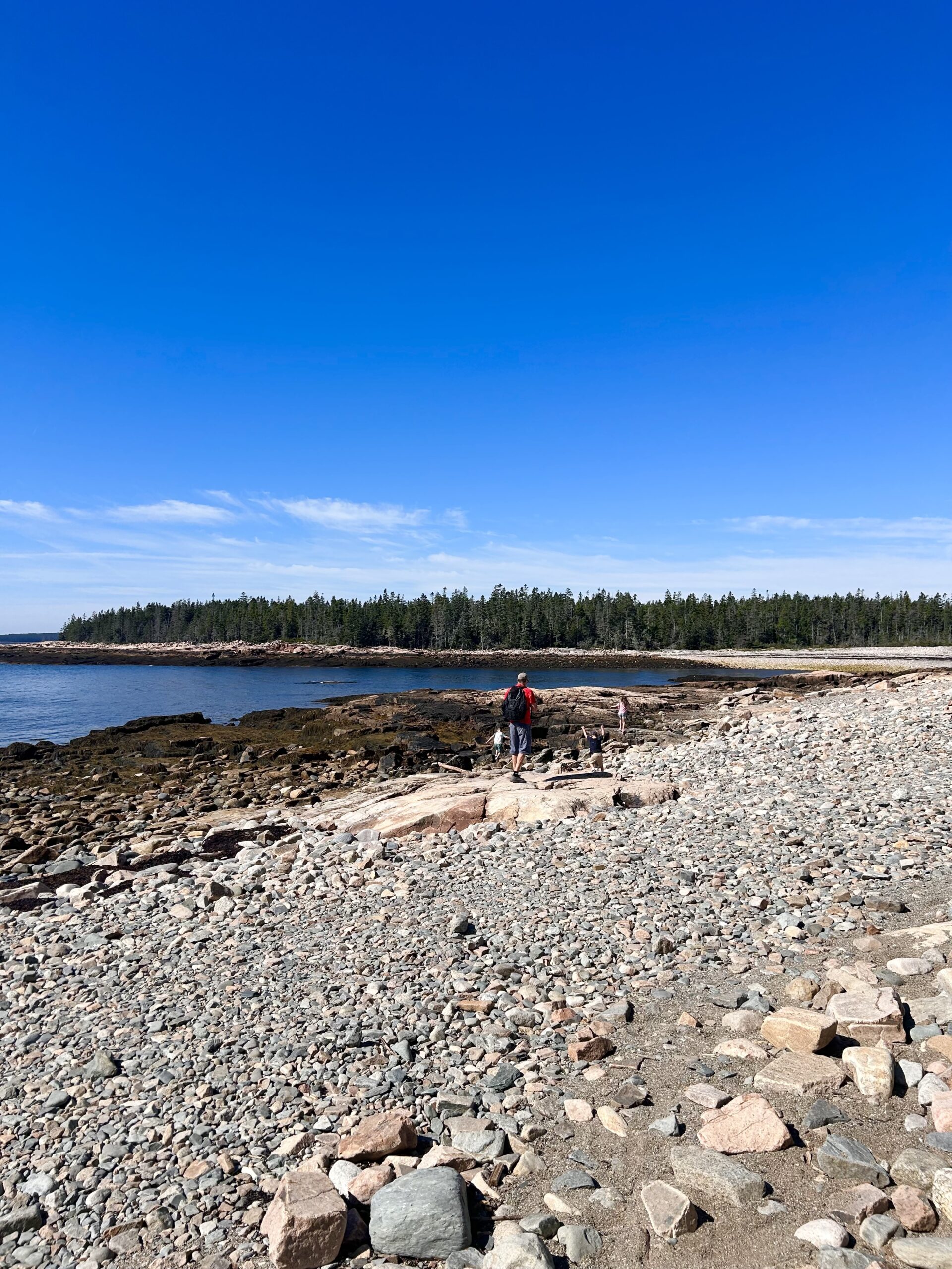 Family exploring the rocky coastline at Acadia National Park